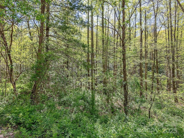 99999 Bob Barnwell Rd, Asheville, NC 28803 - photo 8