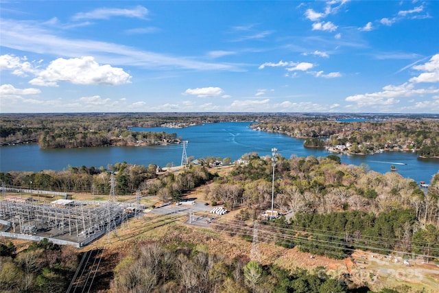 2439 Bergamot St, Fort Mill, SC 29708 - drone / aerial view featuring a forest view and a water view
