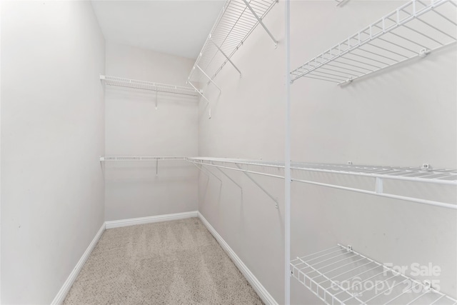 2439 Bergamot St, Fort Mill, SC 29708 - view of walk in closet
