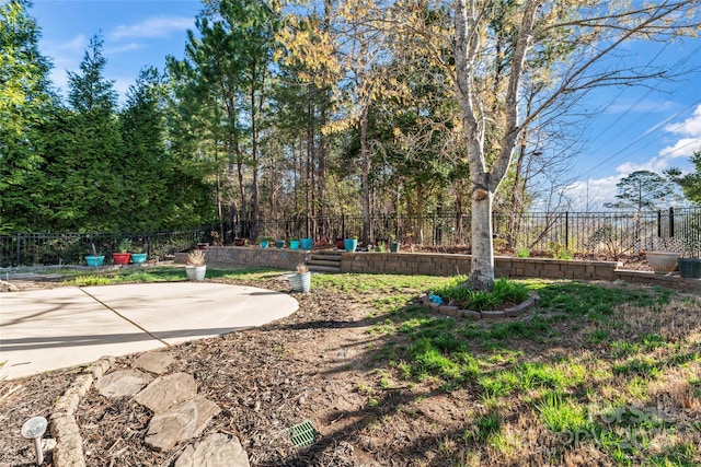 2439 Bergamot St, Fort Mill, SC 29708 - view of yard with fence