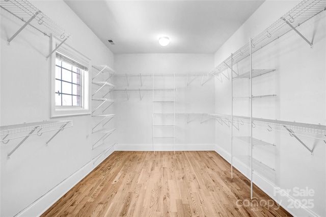 spacious closet featuring wood finished floors and visible vents