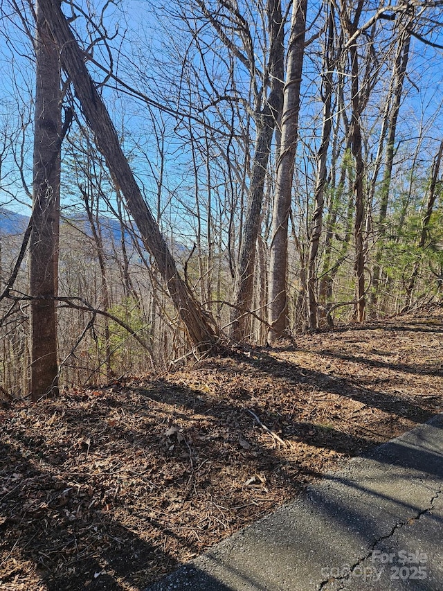 99999 Churchill Downs Dr, Fairview, NC 28730 - photo 29