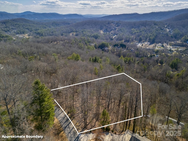 99999 Churchill Downs Dr, Fairview, NC 28730 - photo 6