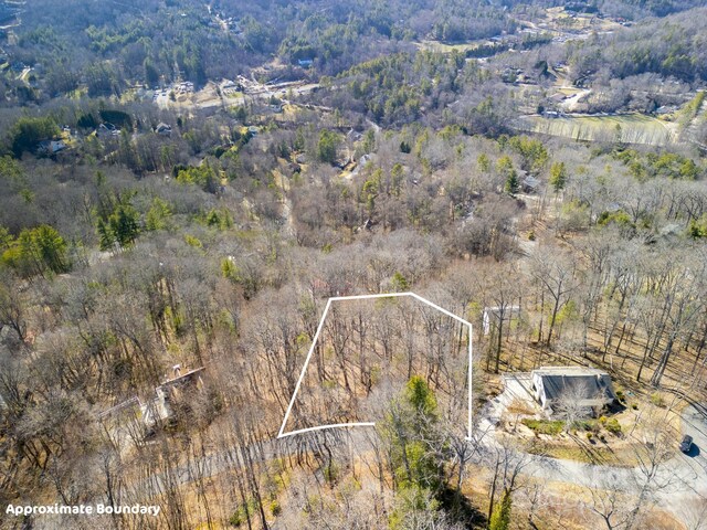 99999 Churchill Downs Dr, Fairview, NC 28730 - photo 7