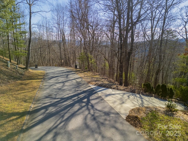 99999 Churchill Downs Dr, Fairview, NC 28730 - photo 10