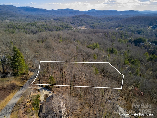 99999 Churchill Downs Dr, Fairview, NC 28730 - photo 11