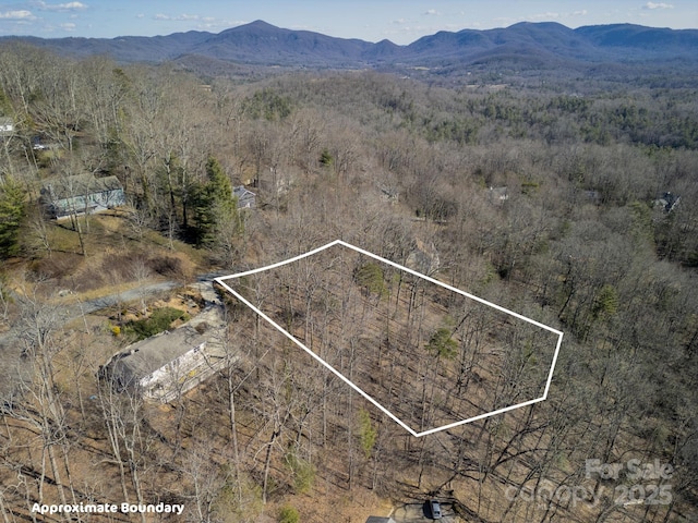 99999 Churchill Downs Dr, Fairview, NC 28730 - photo 12