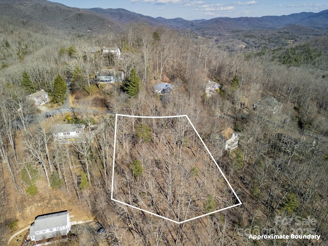 99999 Churchill Downs Dr, Fairview, NC 28730 - photo 13