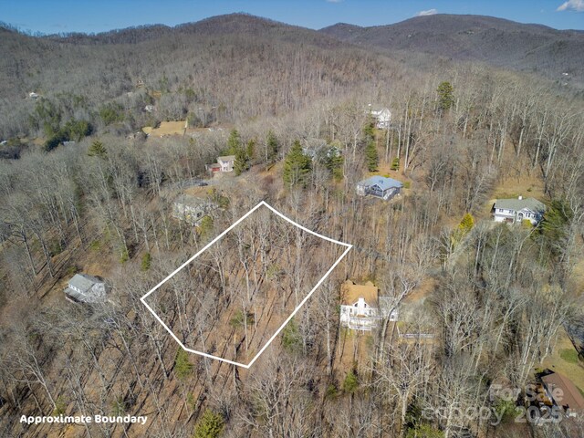 99999 Churchill Downs Dr, Fairview, NC 28730 - photo 14