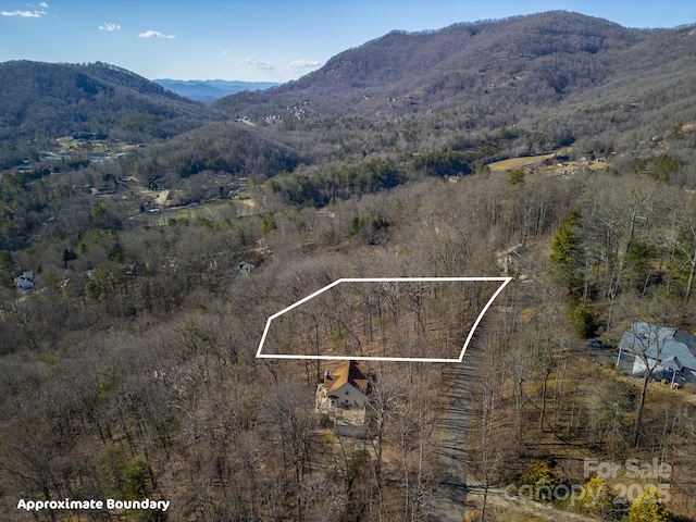 99999 Churchill Downs Dr, Fairview, NC 28730 - photo 16