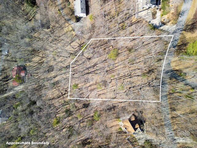 99999 Churchill Downs Dr, Fairview, NC 28730 - photo 17