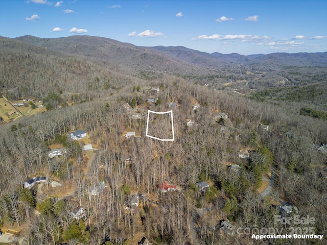 99999 Churchill Downs Dr, Fairview, NC 28730 - photo 18