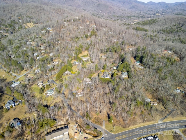 99999 Churchill Downs Dr, Fairview, NC 28730 - photo 19