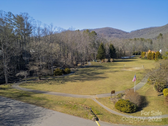 99999 Churchill Downs Dr, Fairview, NC 28730 - photo 20