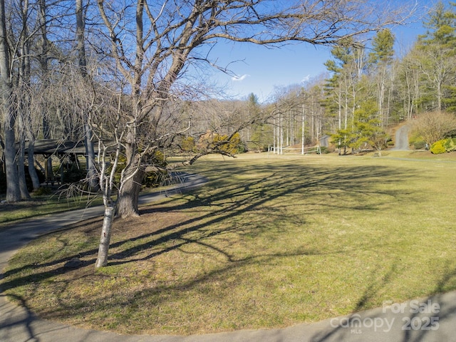 99999 Churchill Downs Dr, Fairview, NC 28730 - photo 21