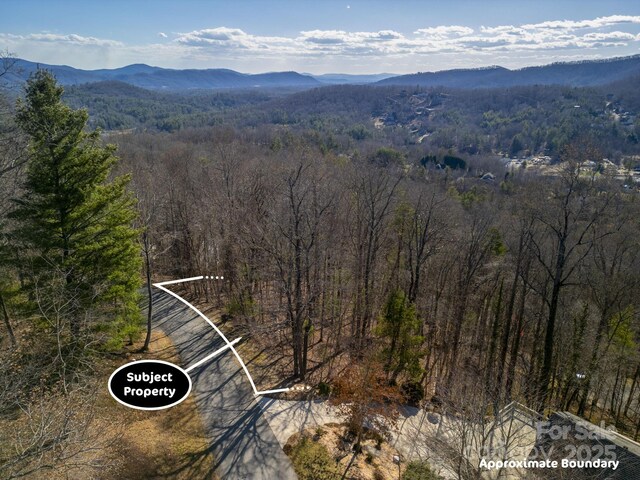 99999 Churchill Downs Dr, Fairview, NC 28730 - photo 4