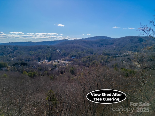 99999 Churchill Downs Dr, Fairview, NC 28730 - photo 5
