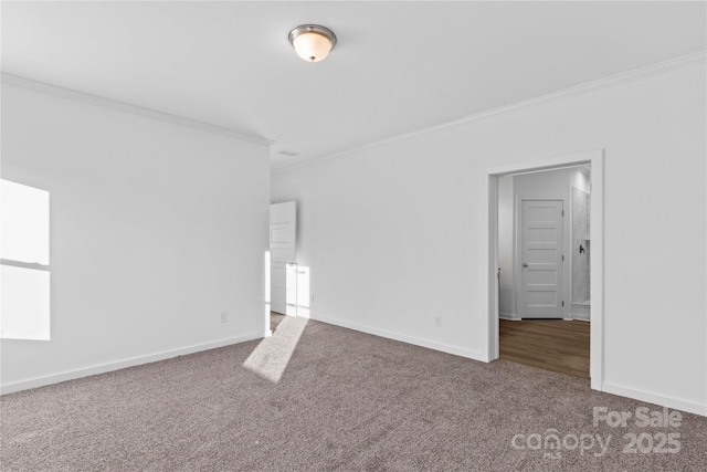 unfurnished bedroom with crown molding and carpet floors