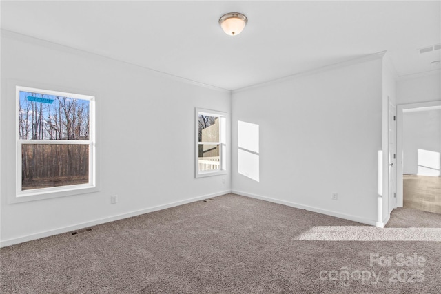 carpeted spare room featuring ornamental molding