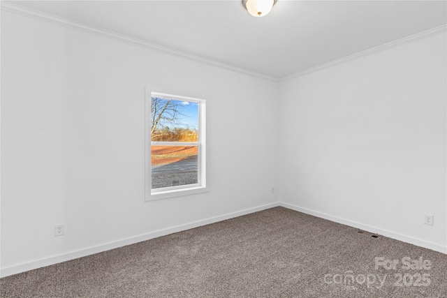 spare room with carpet and crown molding