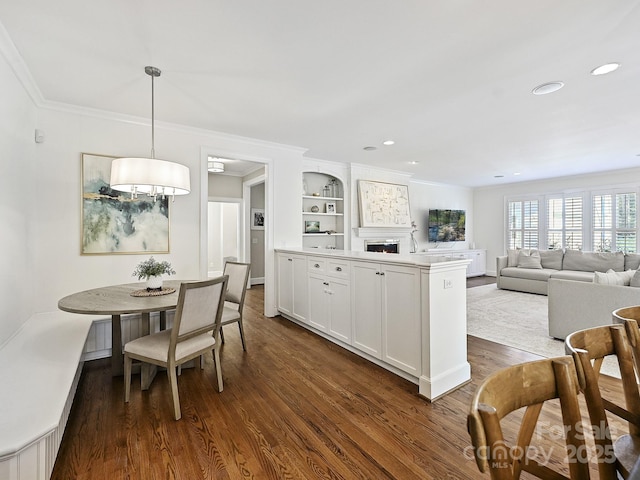 interior space featuring white cabinets, open floor plan, light countertops, dark wood-style floors, and decorative light fixtures