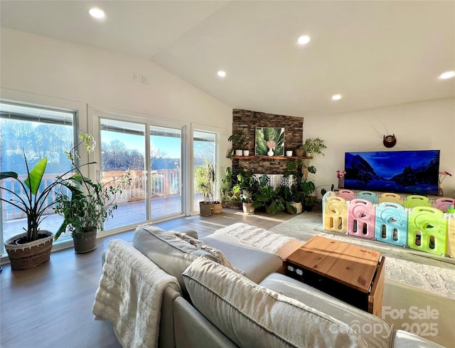 living room with lofted ceiling and wood-type flooring