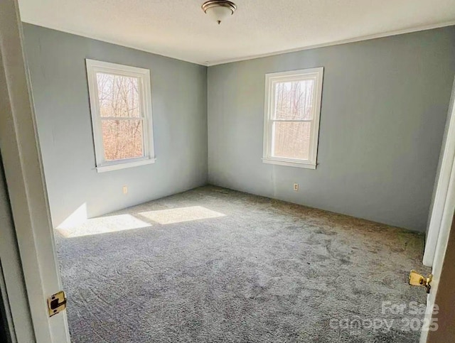 empty room with carpet, a healthy amount of sunlight, and a textured ceiling