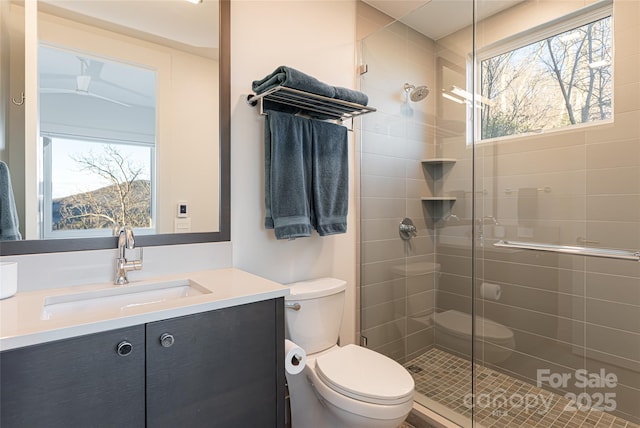 bathroom with a stall shower, a healthy amount of sunlight, vanity, and toilet