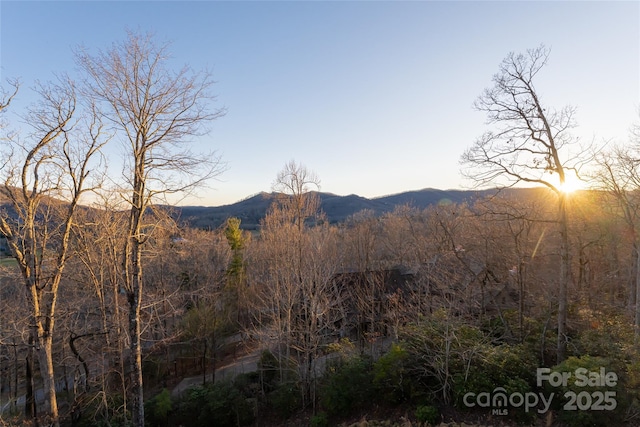 property view of mountains with a wooded view