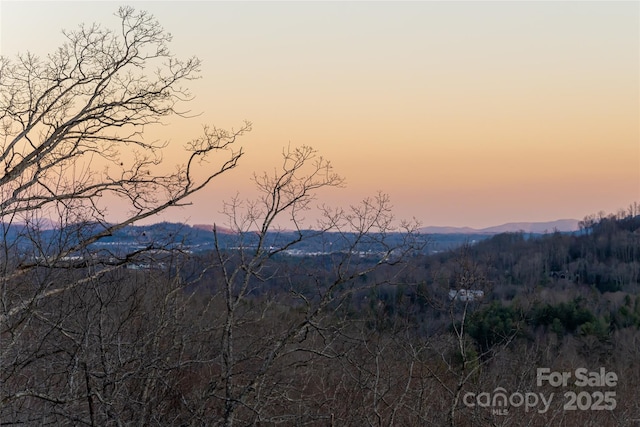 property view of mountains with a wooded view