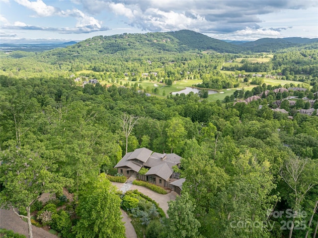 1121 Timberbluff Way, Arden, NC 28704 - bird's eye view of a heavily wooded area and a water and mountain view
