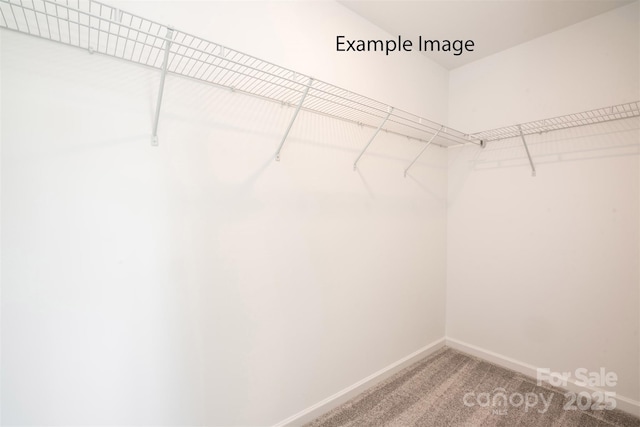 walk in closet featuring light colored carpet