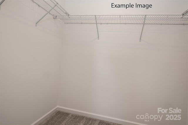 walk in closet featuring dark colored carpet