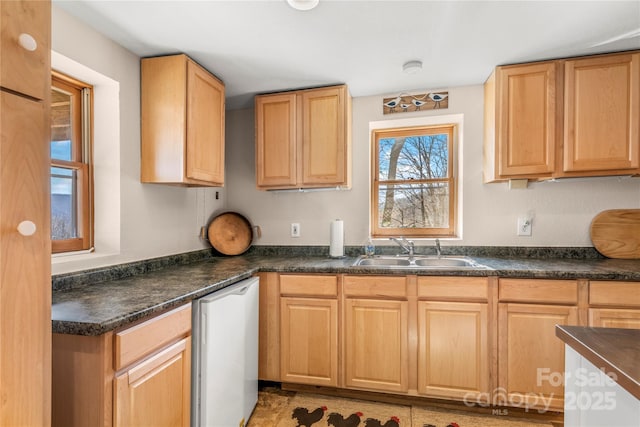 kitchen with dark countertops and a sink