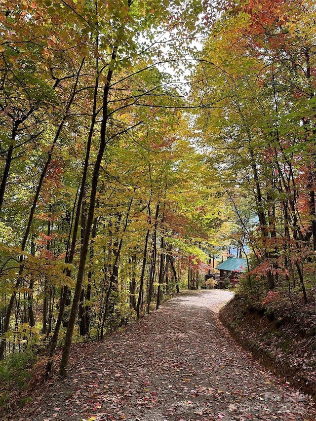 view of road featuring a forest view