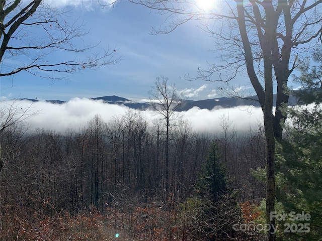 view of mountain feature featuring a forest view