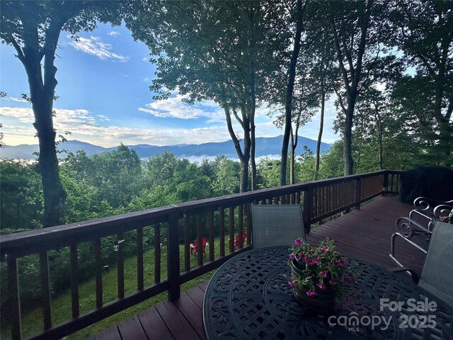 642 Mountainside Dr, Waynesville, NC 28786 - photo 5