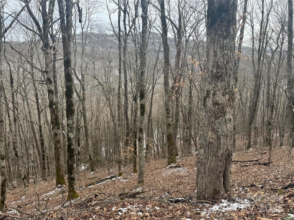 234235 Hanging Rock Rd, Mars Hill, NC 28754