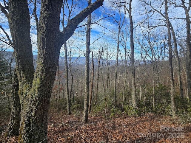 Listing photo 3 for 0000 Black Mountain Rd Unit 52, Cullowhee NC 28723