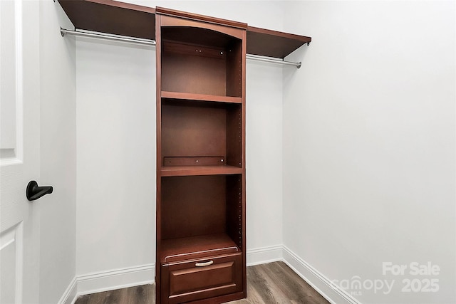 walk in closet with dark wood-type flooring