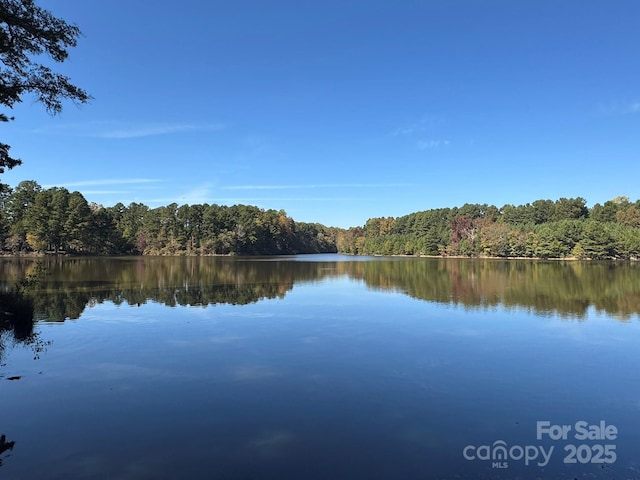 13828 Lake Bluff Dr, Matthews NC, 28105 land for sale