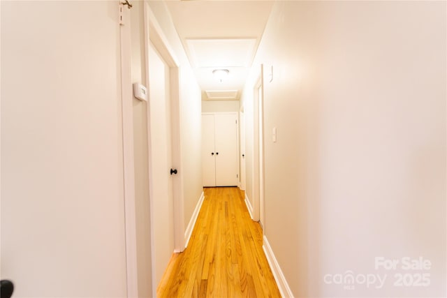 hall with light wood-type flooring