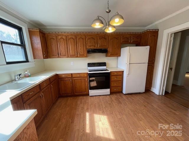 kitchen with sink, light hardwood / wood-style floors, range with electric stovetop, white refrigerator, and ornamental molding