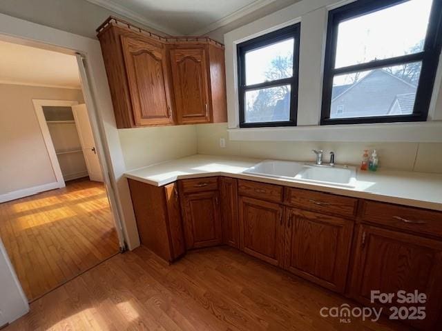 kitchen with sink, crown molding, and light hardwood / wood-style floors