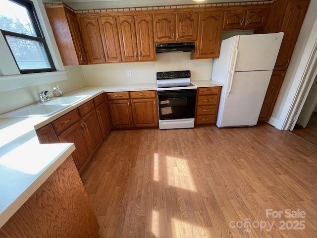 5135 Tucker Ave, Kannapolis, NC 28081 - kitchen with white appliances, under cabinet range hood, brown cabinets, light wood-type flooring, and light countertops