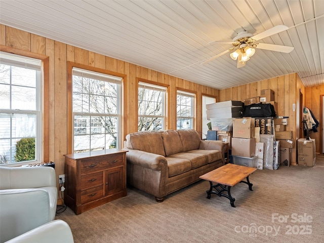 carpeted living room with wooden ceiling, ceiling fan, and wood walls