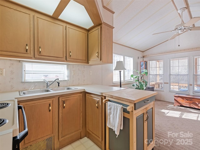 kitchen with sink, dishwasher, ceiling fan, electric range oven, and vaulted ceiling