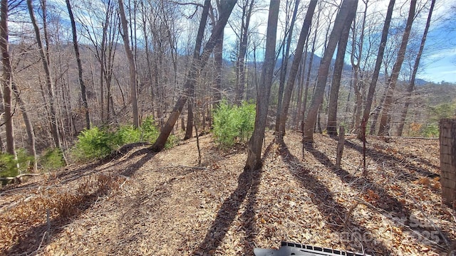 103 Barn Rd, Burnsville, NC 28714