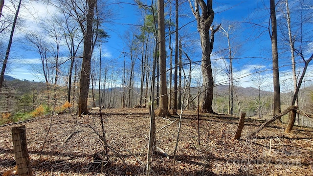 103 Barn Rd, Burnsville, NC 28714