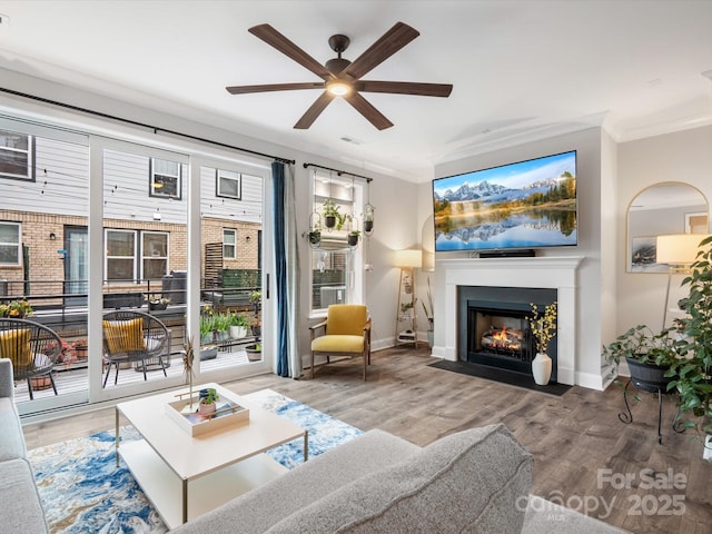 living area with wood finished floors, ornamental molding, plenty of natural light, and a fireplace with flush hearth